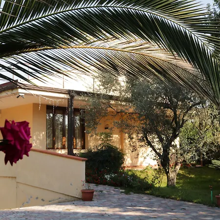 Bed & Breakfast D'avino Pagani