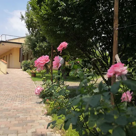 D'avino Bed & Breakfast