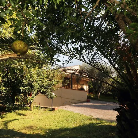 Bed & Breakfast D'avino Pagani