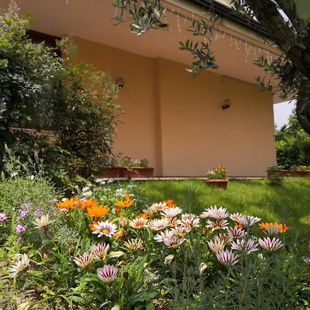 D'avino Bed & Breakfast Pagani