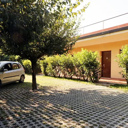 D'avino 3*