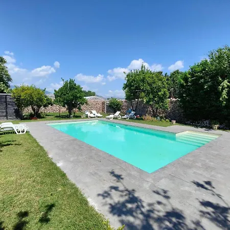 D'avino 3*