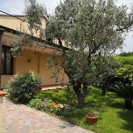 Bed & Breakfast D'avino