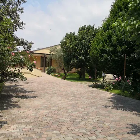 D'avino 3*