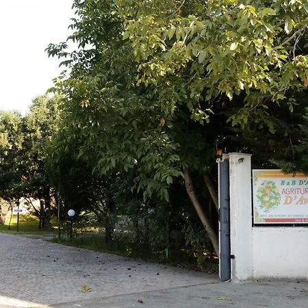 D'avino